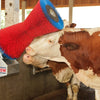 Producten happycow koeborstel uno horizontaal
