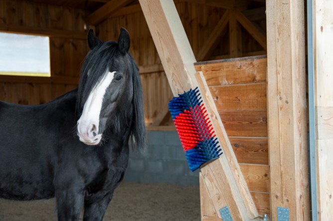 Producten halfronde koeborstel veeborstel blauw rood xl