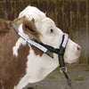 Producten stierenhalster nylon met d ring