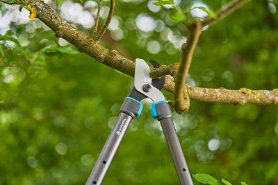 Gardena producten takkenschaar telecut pro s