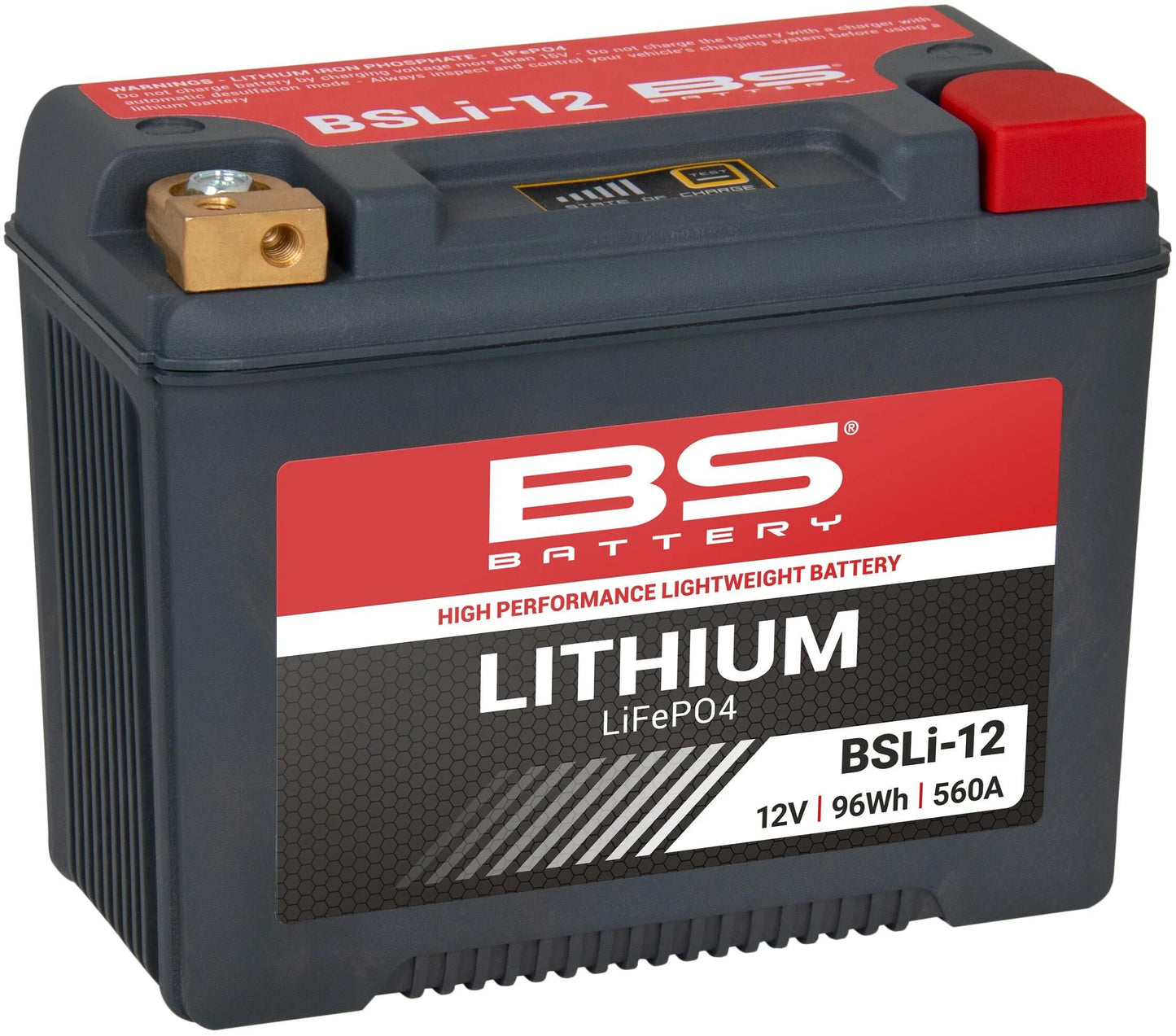 Bs-battery lifepo4 batterij bsli-12 battery li12 bs lithium