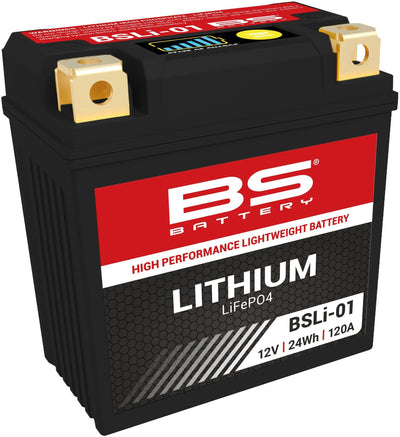 Bs-battery lifepo4 batterij bsli-01 battery li01 bs lithium