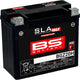 Bs-battery batterij bgz20h btx20h battery bgz20h bs sla-max hd