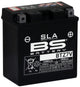 Bs-battery batterij btz7v battery btz7v bs sla