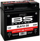 Bs-battery batterij 12-20 battery 12-20 bs sla garden