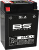 Bs-battery batterij bb14a-a2 battery bb14a-a2 bs sla