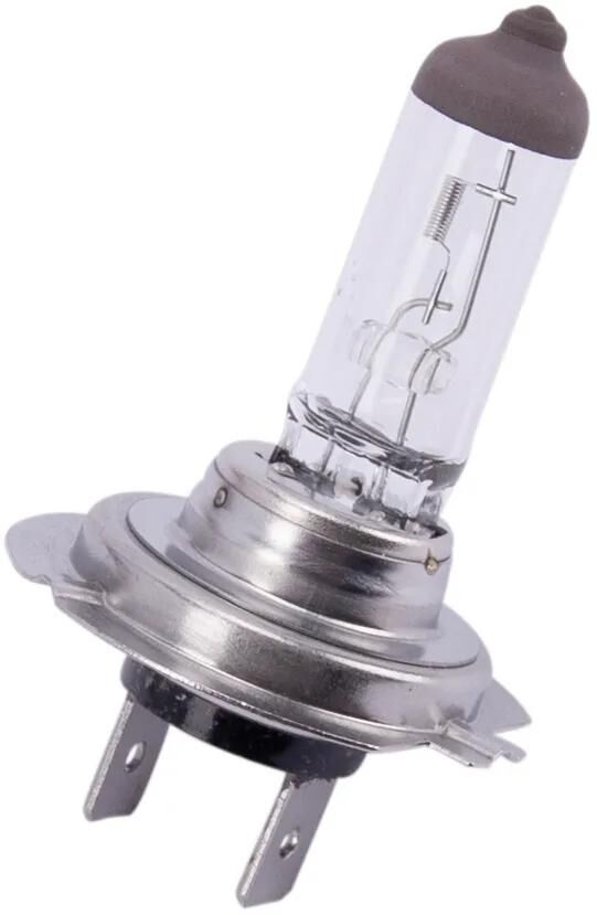 Spahn koplamp gloeilamp h7 headlight bulb 12v 55w h7 longlife px26d
