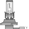 Spahn koplamp gloeilamp headlight bulb 12v 51w hb4 p22d