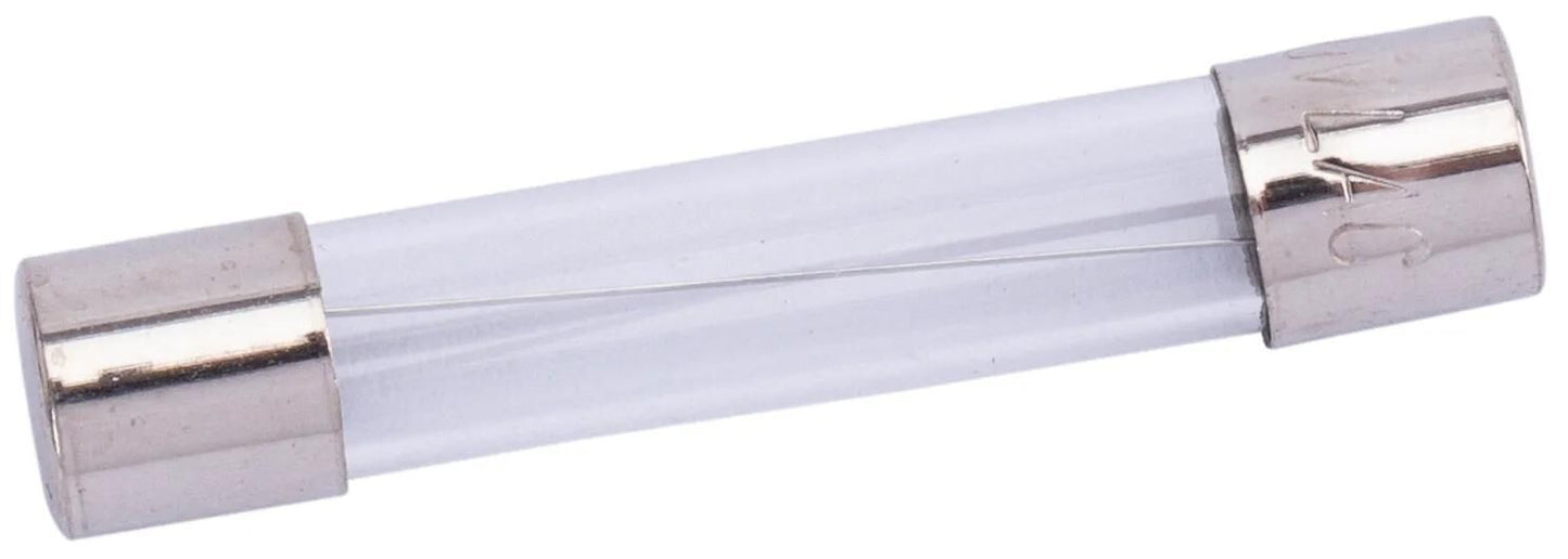 Spahn glaszekering glass fuses 10a 6x32 mm (10pcs)