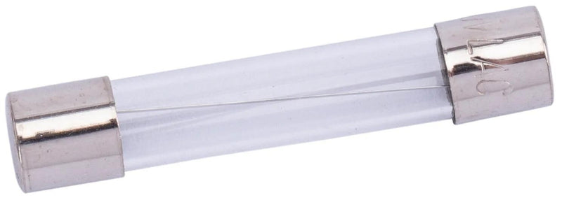 Spahn glaszekering glass fuses 10a 6x32 mm (10pcs)