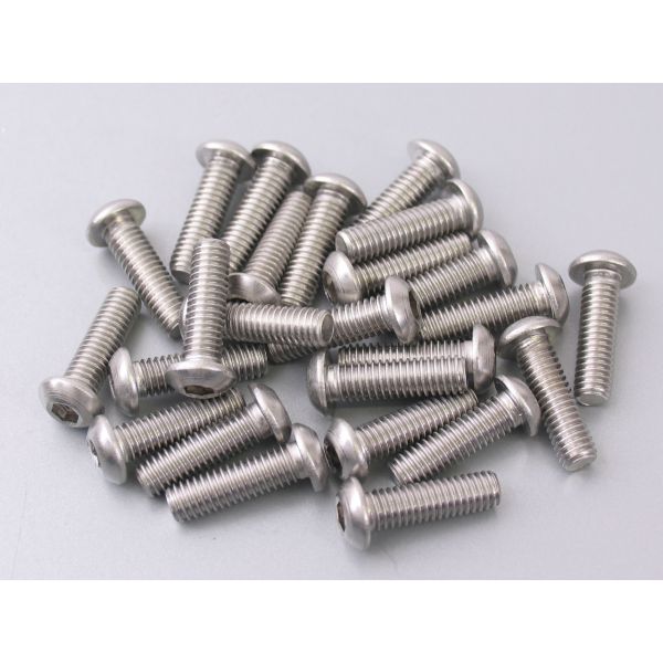 Inbusbout bolkop M6 x 20 mm RVS 25 stuks (214291)