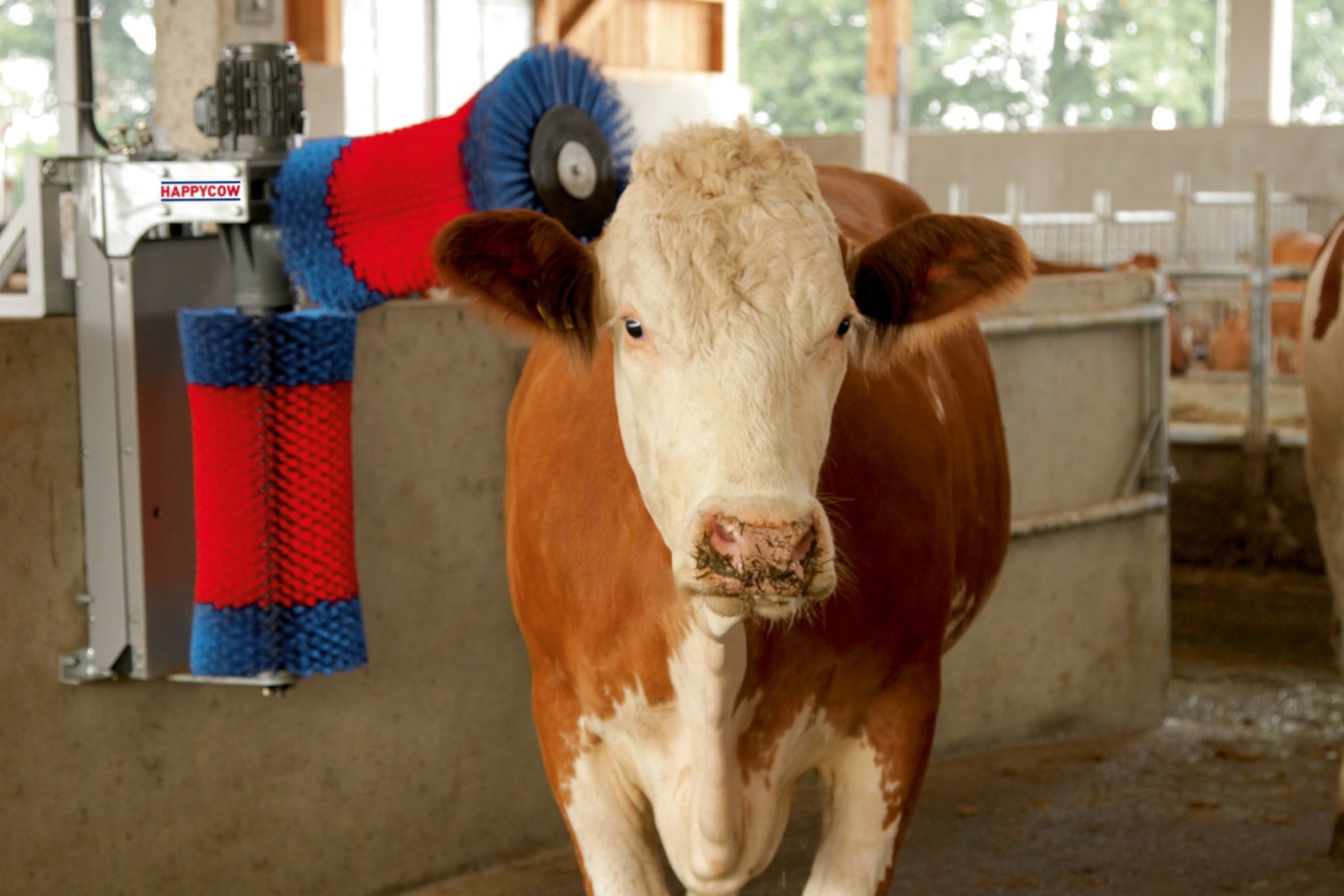 Producten happycow koeborstel duo