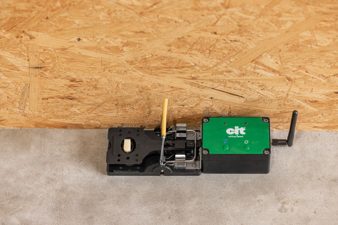 Producten rattenval smart cit ratstop