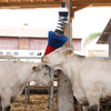 Producten happycow veeborstel flexiswing