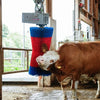 Producten happycow koeborstel maxiswing