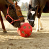 Producten voederspeel bal rood