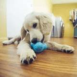 West Paw West Paw Hondenspeelgoed met Zogoflex Tux S aquablauw - afbeelding 1