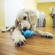 West Paw West Paw Hondenspeelgoed met Zogoflex Tux S aquablauw - afbeelding 1