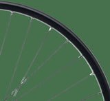 Contec achterwiel taurus 21 + shimano fh-qc400 hr 29 aluminum hk sw 8-1 sp.sw 2.00 - afbeelding 1