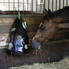 Producten hooizak hay bag groot