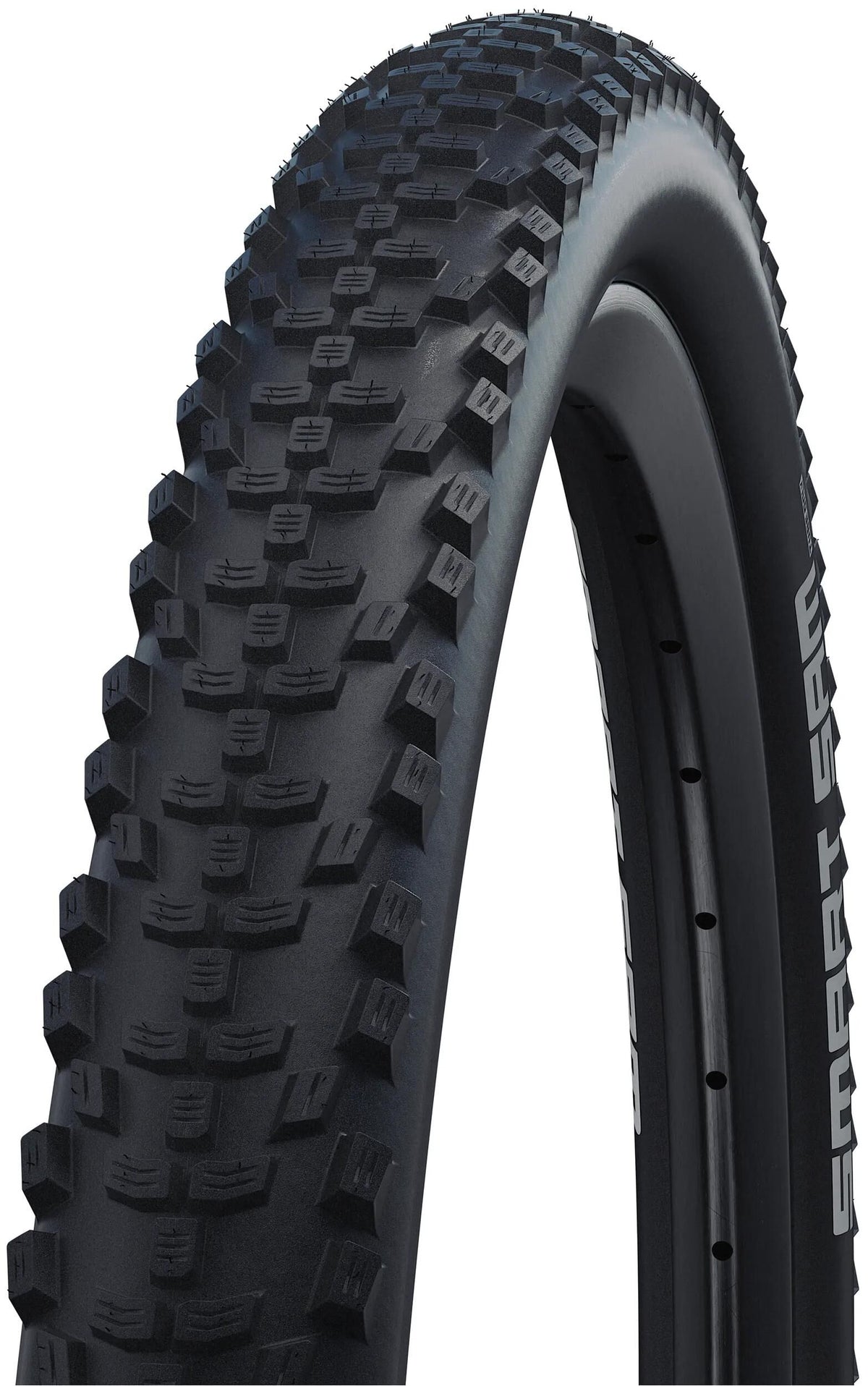 Schwalbe Buitenband Sam Performance 29 x 2.60 zwart