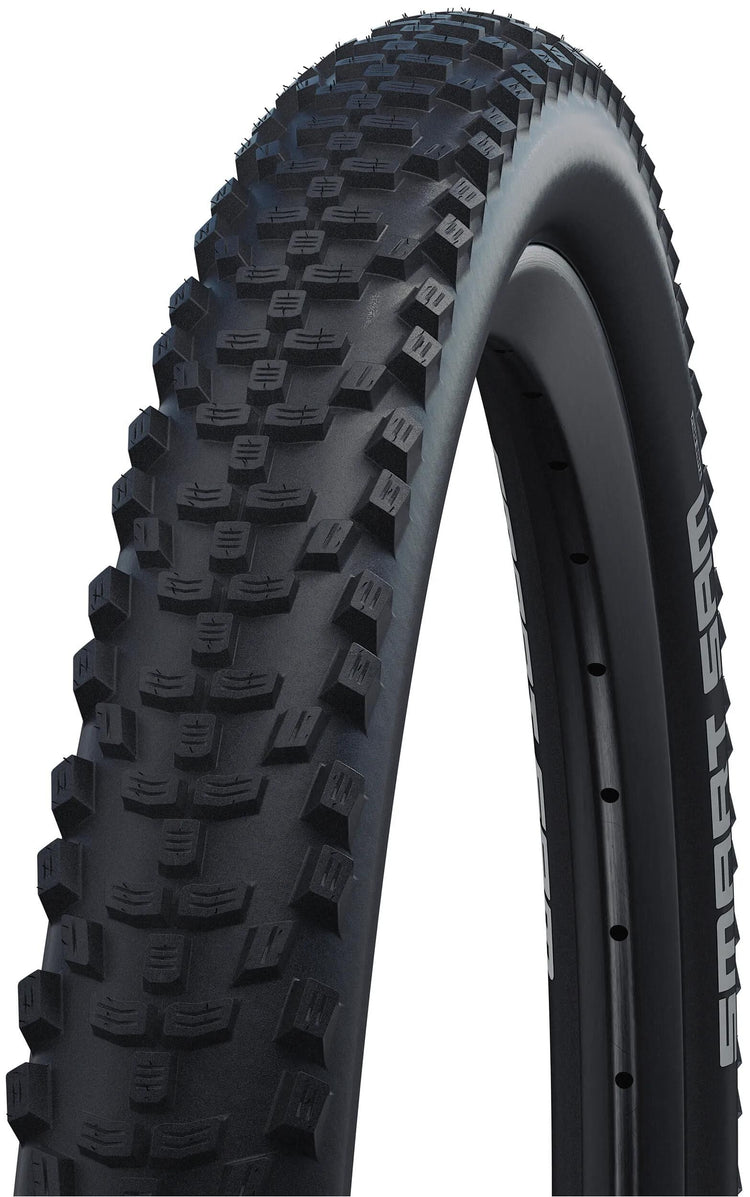 Schwalbe Buitenband Sam Performance 29 x 2.60 zwart