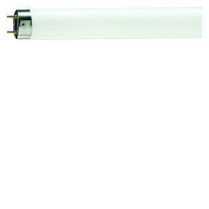 Philips tl buis 8w 10 uv-a insekt 5900540