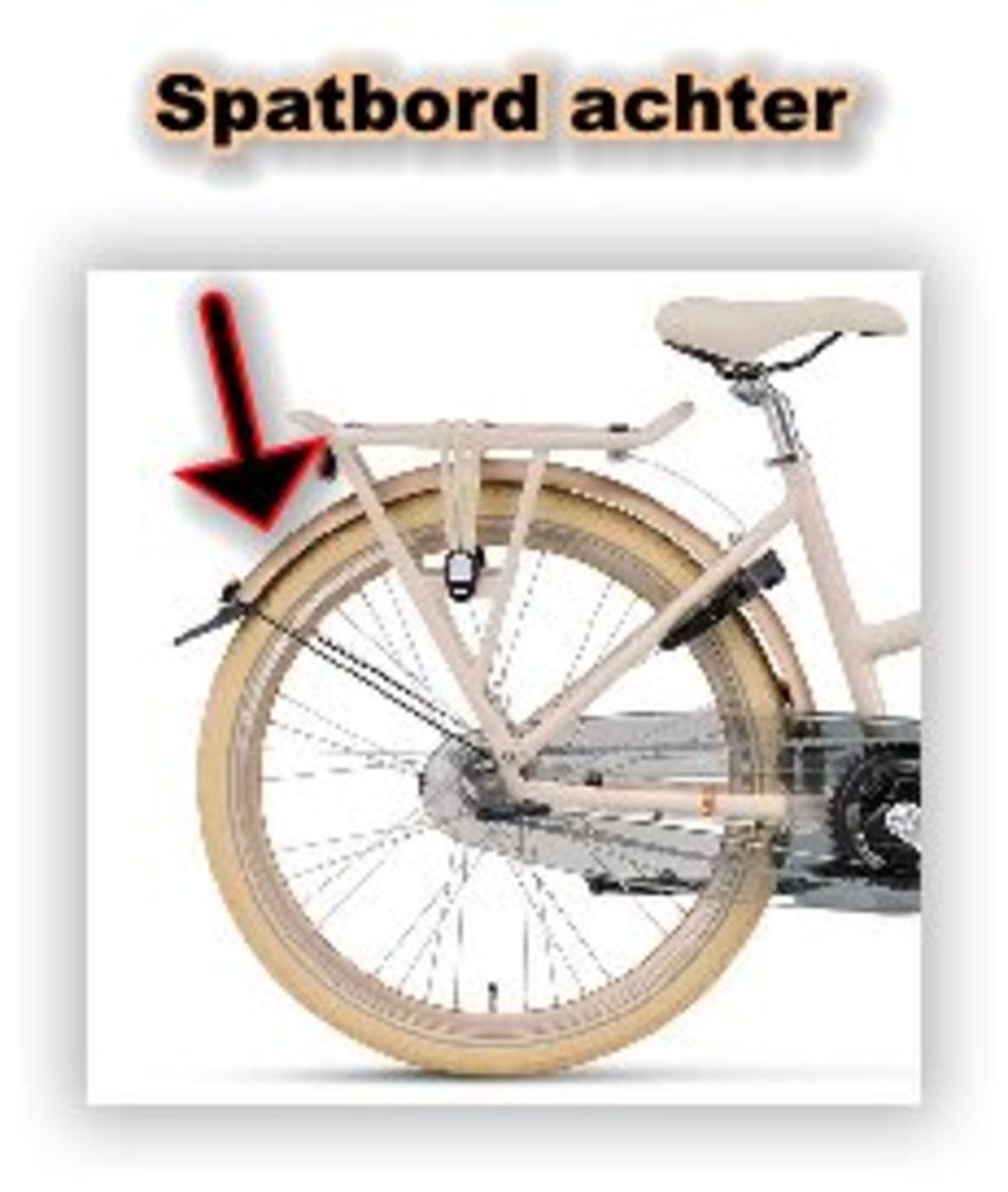 Batavus spatbord achter 24 blossom matt pms10364