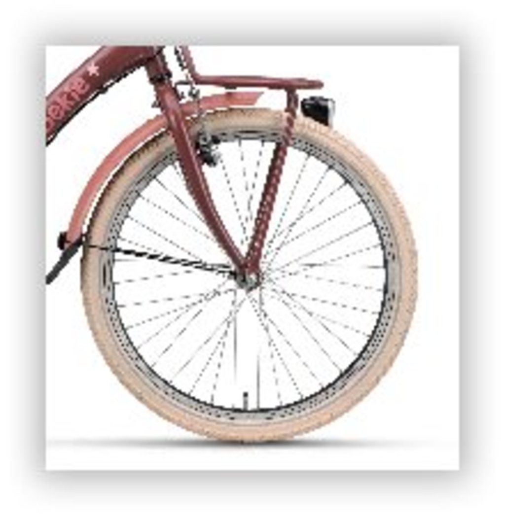 Batavus voorwiel 22 star velg_zwart