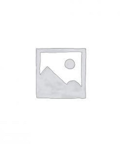 Victorinox zakmes swisschamp silvertech 31 functies