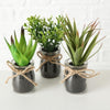 Boltze home sukkulente in pot ø10x17cm kunstplant