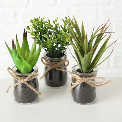 Boltze home sukkulente in pot ã˜10x17cm kunstplant in glazen potje