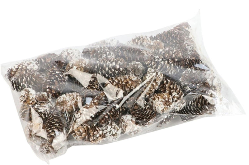 Hbx natural living decoratieset dennenappel mini 180gr