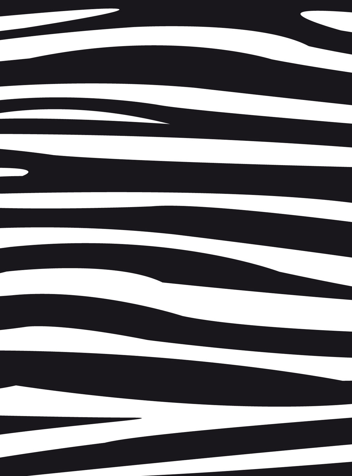 Vaessen creative • embossing folder zebra patroon