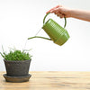 Esschert design binnengieter groentinten assorti