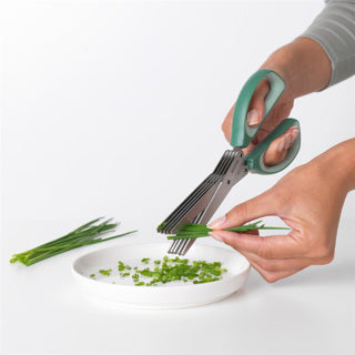 Brabantia tasty+ kruidenschaar + kam fir green