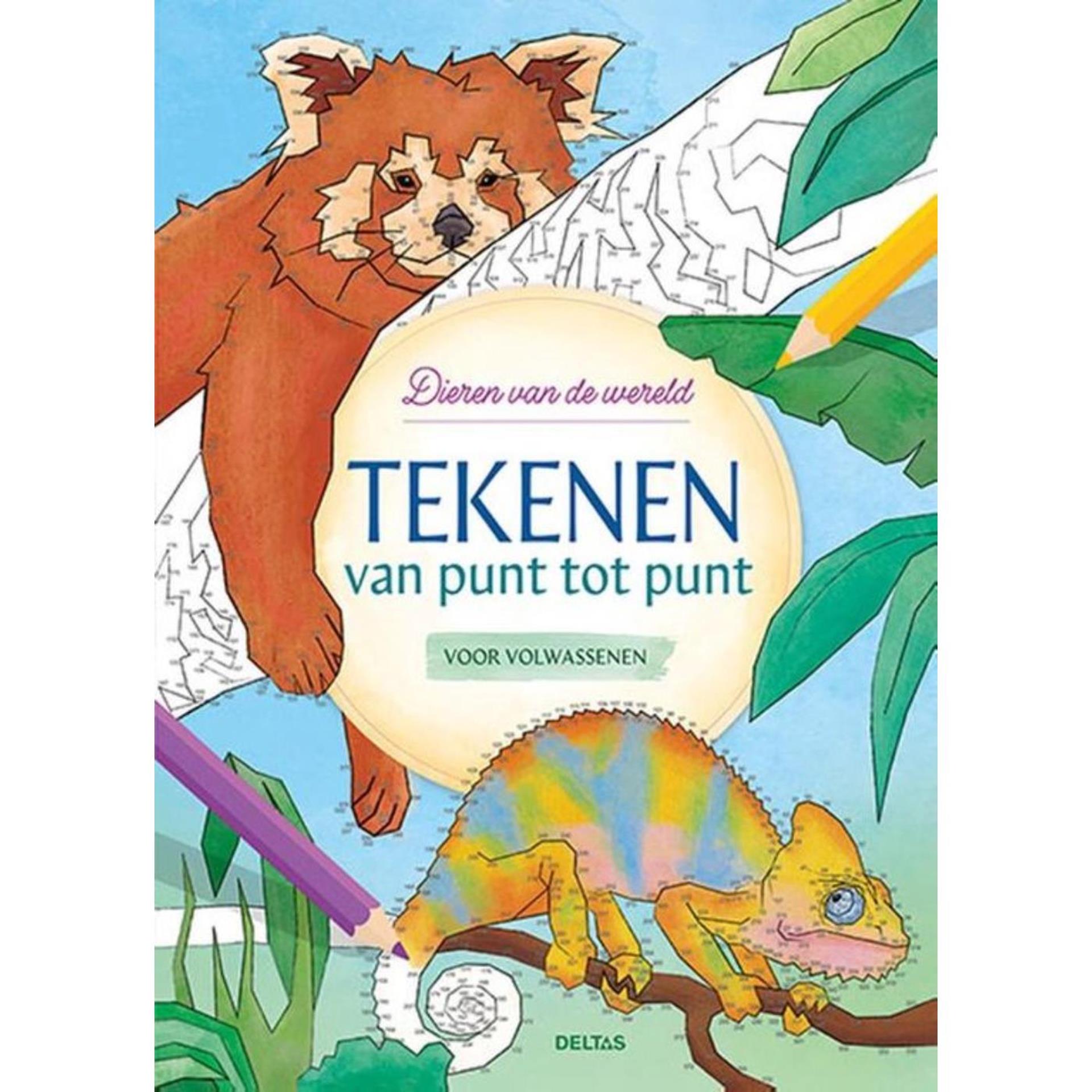 Deltas tekenen van punt tot punt voor volwassenen