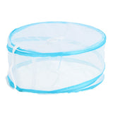 Vliegenkap pop up 30 cm 2 assorti | 6 stuks - afbeelding 2
