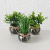 Boltze home kunstplant in glazen pot ø13x15cm