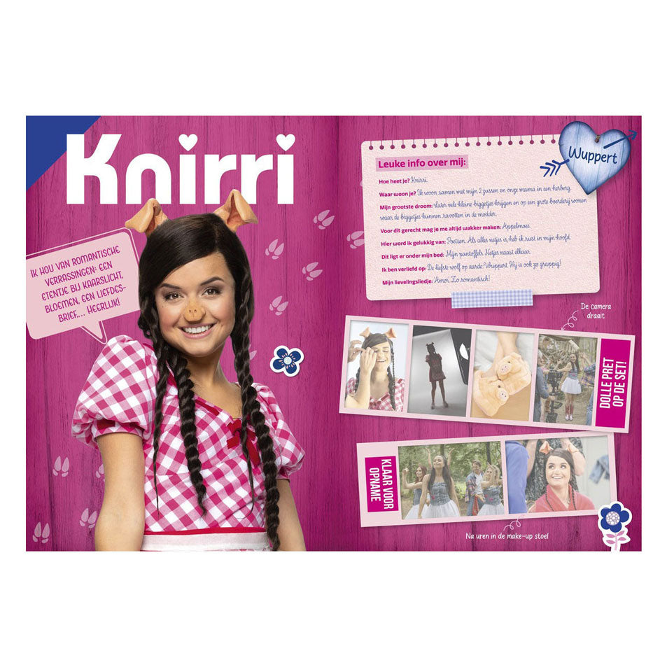 Studio 100 k3: 3 biggetjes fanboek met stickers