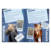 K3 : 3 biggetjes fanboek met stickers