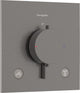 Hansgrohe ecostat comfort e - inbouwthermostaat - 2 functies - douche - brushed black chrome
