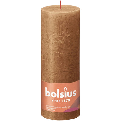 Bolsius kaars 19x6,8 cm spicy bruin