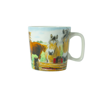 Wiebe van der zee minimok paard 23 cl wiebe