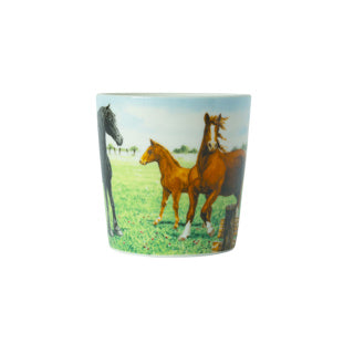 Wiebe van der zee minimok paard 23 cl wiebe