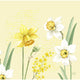 Duni servetten spring daffodil 12 stuks 40 x 40 cm | 12 stuks