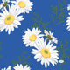 Duni servetten daisy blue 33x33 cm | 12 stuks
