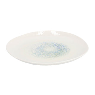 Palmer organic mineralis bord ø 25 cm aqua | 12 stuks