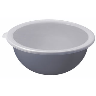 Rotho schaal met deksel 4.8l horizon blauw