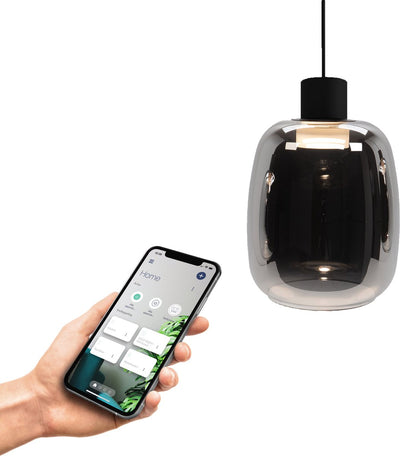 Eglo connect.z molochio-z smart hanglamp - led - ø 12,5 cm - zwart smoke rookglas - instelbaar rgb wit licht - dimbaar - zigbee